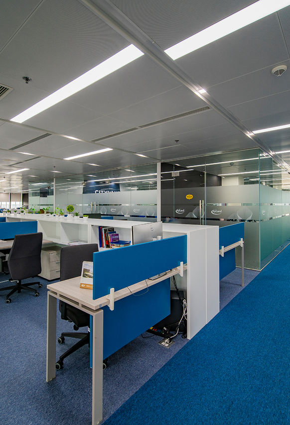 PROFESSIONAL WORKING ENVIRONMENT